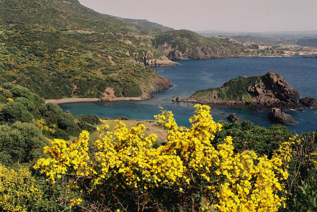 Casa Vacanze Sandalia Bosa Dış mekan fotoğraf